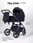 Коляска 2 в 1 Rant Falcon Soft Therm Black 4670078668523