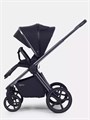 Коляска 2 в 1 Rant Falcon Soft Therm Black 4670078668523