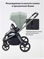 Коляска 2 в 1 Rant Flex Soft Therm Forest green 4670078668561