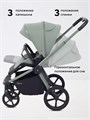 Коляска 2 в 1 Rant Flex Soft Therm Forest green 4670078668561
