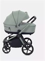 Коляска 2 в 1 Rant Flex Soft Therm Forest green 4670078668561