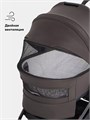Коляска 2 в 1 Rant Flex Soft Therm Shine brown 4670078668547