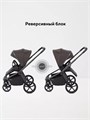 Коляска 2 в 1 Rant Flex Soft Therm Shine brown 4670078668547