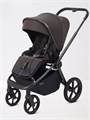 Коляска 2 в 1 Rant Flex Soft Therm Shine brown 4670078668547