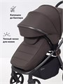 Коляска 2 в 1 Rant Flex Soft Therm Shine brown 4670078668547