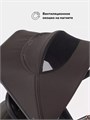 Коляска 2 в 1 Rant Flex Soft Therm Shine brown 4670078668547