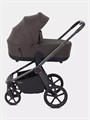 Коляска 2 в 1 Rant Flex Soft Therm Shine brown 4670078668547