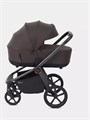 Коляска 2 в 1 Rant Flex Soft Therm Shine brown 4670078668547