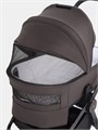 Коляска 2 в 1 Rant Flex Soft Therm Shine brown 4670078668547
