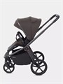 Коляска 2 в 1 Rant Flex Soft Therm Shine brown 4670078668547