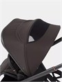 Коляска 2 в 1 Rant Flex Soft Therm Shine brown 4670078668547