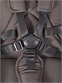 Коляска 2 в 1 Rant Flex Soft Therm Shine brown 4670078668547