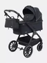 Коляска 2 в 1 Rant Basic Terra Black 4670078665812