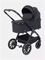 Коляска 2 в 1 Rant Basic Terra Black 4670078665812