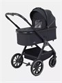 Коляска 2 в 1 Rant Basic Terra Black 4670078665812