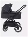 Коляска 2 в 1 Rant Basic Terra Black 4670078665812