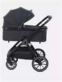 Коляска 2 в 1 Rant Basic Terra Black 4670078665812