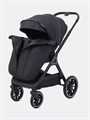 Коляска 2 в 1 Rant Basic Terra Black 4670078665812