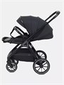 Коляска 2 в 1 Rant Basic Terra Black 4670078665812
