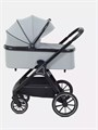 Коляска 2 в 1 Rant Basic Terra Grey 4670078665829