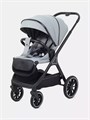 Коляска 2 в 1 Rant Basic Terra Grey 4670078665829
