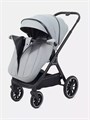 Коляска 2 в 1 Rant Basic Terra Grey 4670078665829