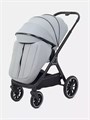 Коляска 2 в 1 Rant Basic Terra Grey 4670078665829