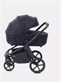 Коляска 2 в 1 Rant Flex Soft Therm Midnight black 4670078671127