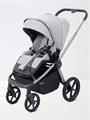 Коляска 2 в 1 Rant Flex Soft Therm Stone grey 4670078671110