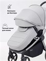 Коляска 2 в 1 Rant Flex Soft Therm Stone grey 4670078671110