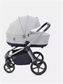 Коляска 2 в 1 Rant Flex Soft Therm Stone grey 4670078671110