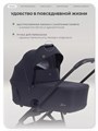 Коляска 2 в 1 Rant Garda Black 4670078674319