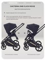 Коляска 2 в 1 Rant Garda Black 4670078674319