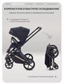 Коляска 2 в 1 Rant Garda Black 4670078674319