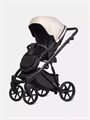 Коляска 3 в 1 Riko Basic Montana Plus 43 Mocca 4670078665751
