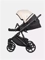 Коляска 3 в 1 Riko Basic Montana Plus 43 Mocca 4670078665751
