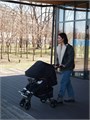 Коляска прогулочная Mowbaby Cross Gold Black 4670078615664