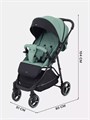 Коляска прогулочная Rant Shift Forest green 4670078641489