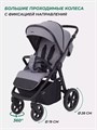 Коляска прогулочная Mowbaby Trail Grey 4670078642998
