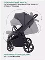 Коляска прогулочная Mowbaby Trail Carbon 4670078642981