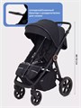 Коляска прогулочная Mowbaby Trail 2025 Black 4670078657381