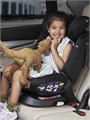 Автокресло Rant Nitro isofix 0/1/2/3 (0-36 кг) Black 4670078618047