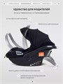 Автокресло Rant Carry Pro (40-87 см) Black 4670078666284