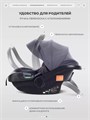 Автокресло Rant Carry Pro (40-87 см) Graphite 4670078666291