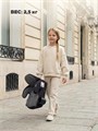 Автокресло-бустер Rant Micro MAX Isofix группа 3 (22-36 кг) Grey 4640575300318