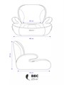 Автокресло-бустер Rant Micro MAX Isofix группа 3 (22-36 кг) Black 4640575300264