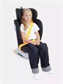 Автокресло Rant Drive Isofix 0/1/2/3 (0-36 кг) Black 4670078653123
