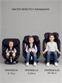 Автокресло Rant Nitro new isofix группа 0/1/2/3 (0-36 кг) Black 4670078668585