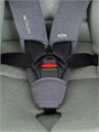 Автокресло Rant Nitro Plus isofix 0/1/2/3 (0-36 кг) Green 4670078657190