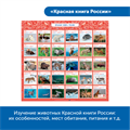 MS0084 Комплект «Патриотическое воспитание с РобоМышью» MS0084